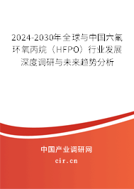 2024-2030年全球與中國六氟環氧丙烷（HFPO）行業發展深度調研與未來趨勢分析