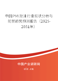 中國PMI泡沫行業現狀分析與前景趨勢預測報告（2025-2031年）
