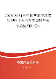 2025-2031年中國三氟甲基磺酸鋰行業發展深度調研與未來趨勢預測報告