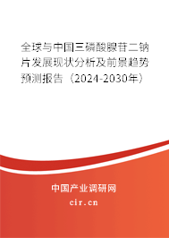 全球與中國三磷酸腺苷二鈉片發展現狀分析及前景趨勢預測報告（2024-2030年）