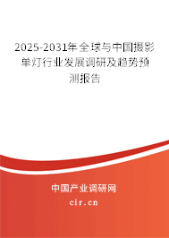 2025-2031年全球與中國攝影單燈行業發展調研及趨勢預測報告