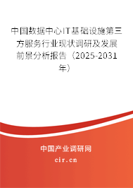 中國數據中心IT基礎設施第三方服務行業現狀調研及發展前景分析報告（2025-2031年）