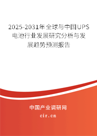 2025-2031年全球與中國UPS電池行業發展研究分析與發展趨勢預測報告