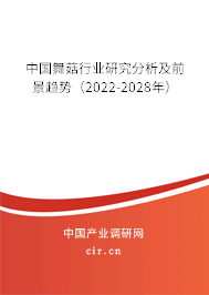 中國舞菇行業研究分析及前景趨勢（2022-2028年）