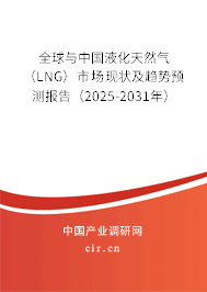 全球與中國液化天然氣（LNG）市場現(xiàn)狀及趨勢預(yù)測報告（2025-2031年）