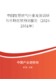 中國智慧燃?xì)庑袠I(yè)發(fā)展調(diào)研與市場前景預(yù)測報(bào)告（2025-2031年）