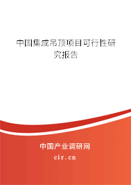中國集成吊頂項(xiàng)目可行性研究報(bào)告