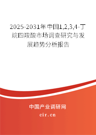 2025-2031年中國1,2,3,4-丁烷四羧酸市場調查研究與發展趨勢分析報告