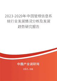 2023-2029年中國管理信息系統行業發展情況分析及發展趨勢研究報告