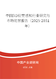 中國3D視覺感知行業研究與市場前景報告（2025-2031年）