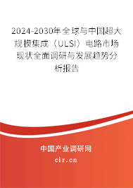 2024-2030年全球與中國超大規模集成（ULSI）電路市場現狀全面調研與發展趨勢分析報告