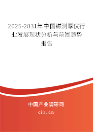 2025-2031年中國磁測厚儀行業發展現狀分析與前景趨勢報告