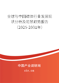 全球與中國磁體行業發展現狀分析及前景趨勢報告（2025-2031年）