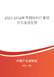 2025-2031年中國電料行業研究與發展前景