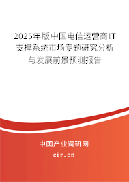 2025年版中國電信運營商IT支撐系統市場專題研究分析與發展前景預測報告