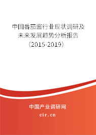 中國番茄醬行業現狀調研及未來發展趨勢分析報告（2015-2019）