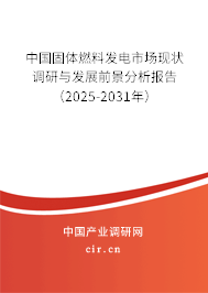 中國固體燃料發電市場現狀調研與發展前景分析報告（2025-2031年）