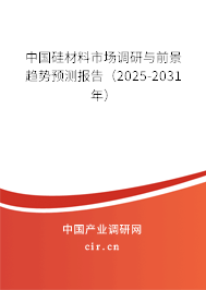 中國硅材料市場調(diào)研與前景趨勢預(yù)測報告（2025-2031年）