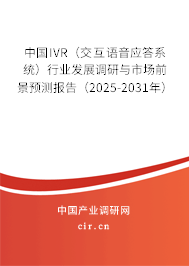 中國IVR（交互語音應答系統）行業發展調研與市場前景預測報告（2025-2031年）