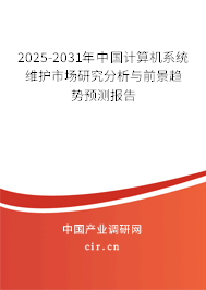 2025-2031年中國計算機系統維護市場研究分析與前景趨勢預測報告