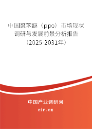 中國聚苯醚（ppo）市場現狀調研與發展前景分析報告（2025-2031年）