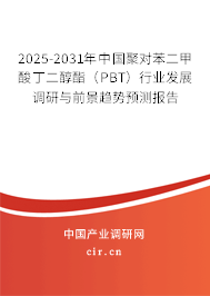 2025-2031年中國聚對苯二甲酸丁二醇酯（PBT）行業發展調研與前景趨勢預測報告