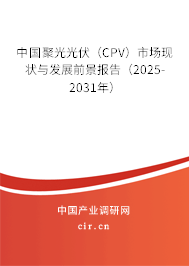 中國聚光光伏（CPV）市場現狀與發展前景報告（2025-2031年）