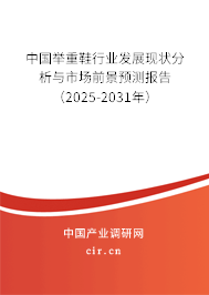 中國舉重鞋行業發展現狀分析與市場前景預測報告（2025-2031年）