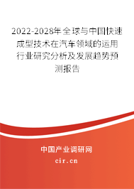2022-2028年全球與中國快速成型技術在汽車領域的運用行業研究分析及發展趨勢預測報告