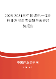 2025-2031年中國(guó)煤電一體化行業(yè)發(fā)展深度調(diào)研與未來趨勢(shì)報(bào)告