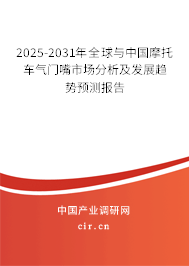 2025-2031年全球與中國摩托車氣門嘴市場分析及發(fā)展趨勢預(yù)測報告