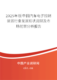 2025年版中國汽車電子控制裝置行業發展現狀調研及市場前景分析報告