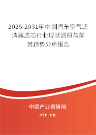 2025-2031年中國汽車空氣濾清器濾芯行業現狀調研與前景趨勢分析報告