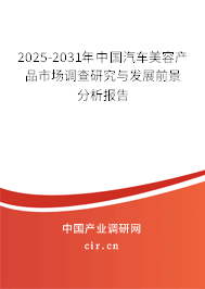 2024-2030年中國汽車美容產品市場調查研究與發展前景分析報告