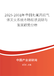 2024-2030年中國七氟丙烷氣體滅火系統(tǒng)市場現(xiàn)狀調研與發(fā)展趨勢分析