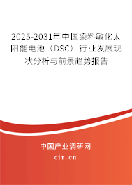 2025-2031年中國染料敏化太陽能電池（DSC）行業發展現狀分析與前景趨勢報告