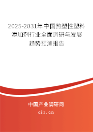 2025-2031年中國(guó)熱塑性塑料添加劑行業(yè)全面調(diào)研與發(fā)展趨勢(shì)預(yù)測(cè)報(bào)告