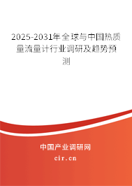 2024-2030年全球與中國熱質量流量計行業調研及趨勢預測
