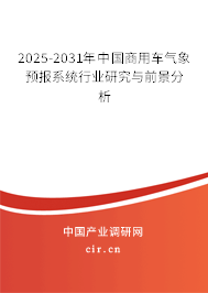 2025-2031年中國商用車氣象預報系統行業研究與前景分析