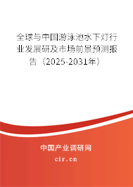 全球與中國游泳池水下燈行業發展研及市場前景預測報告（2025-2031年）