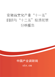 安徽省文化產業“十一五”回顧與“十二五”投資前景分析報告