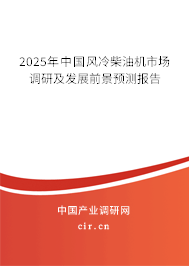 2025年中國風冷柴油機市場調研及發展前景預測報告