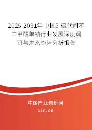 2025-2031年中國5-硫代間苯二甲酸單鈉行業發展深度調研與未來趨勢分析報告