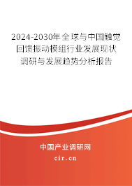 2024-2030年全球與中國觸覺回饋振動模組行業發展現狀調研與發展趨勢分析報告