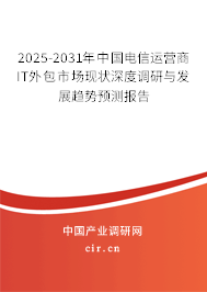 2025-2031年中國電信運營商IT外包市場現狀深度調研與發展趨勢預測報告