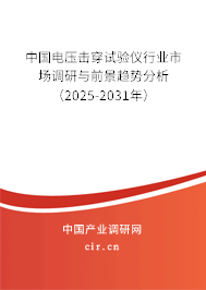 中國電壓擊穿試驗儀行業市場調研與前景趨勢分析（2025-2031年）