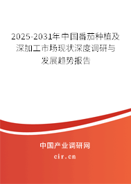 2025-2031年中國番茄種植及深加工市場現狀深度調研與發展趨勢報告
