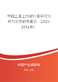 中國工業工作服行業研究分析與前景趨勢報告（2025-2031年）