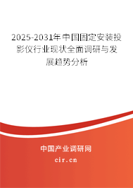 2024-2030年中國固定安裝投影儀行業現狀全面調研與發展趨勢分析