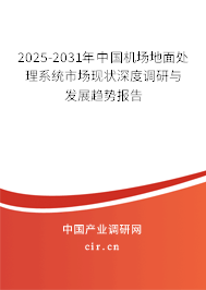 2025-2031年中國機場地面處理系統市場現狀深度調研與發展趨勢報告